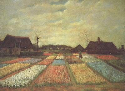 Bulb Fields (nn04)